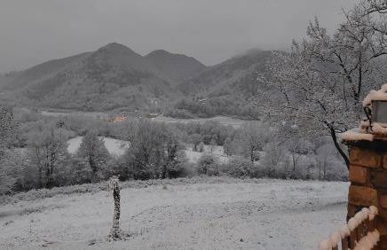 La caseta de Mas Salelles - Photo 25