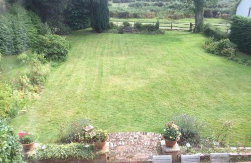 Holmans NEW FOREST - Photo 44