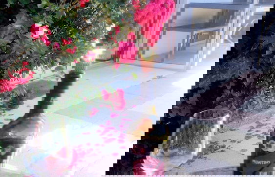 Ferienwohnung Luisa - Foto 59