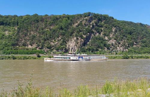 Haus Rheinglück "Liebenstein" - Foto 18