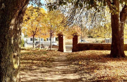 Haus am Markt - Foto 13