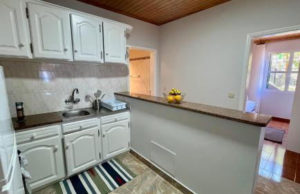 Domingos Reis - Foto 4