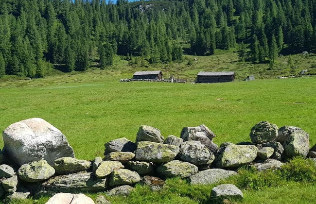 Room-holiday Home Kahr Apartment Roßbran - Photo 63