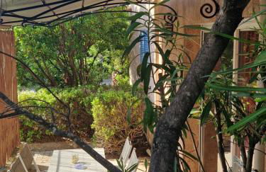 Arena Bianca - Foto 18