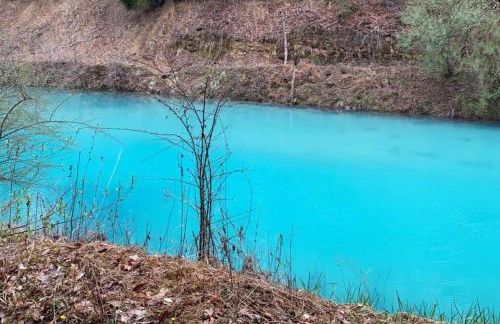 Sheppard's Holler - Photo 11