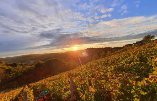 Winery & Rural Holiday Home Hren Hiža - Sveti Martin na Muri - Foto 25