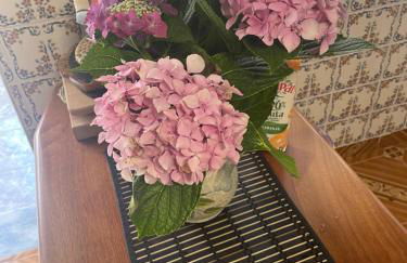 Quinta Ti Lita - Foto 22