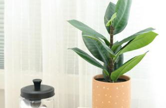 Excellence by Urooms Apartments Near NYC and Newark Airport with Parking - Foto 45