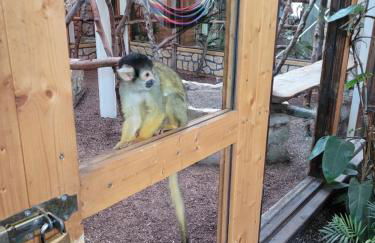 Familiehuis Dolve - Foto 93