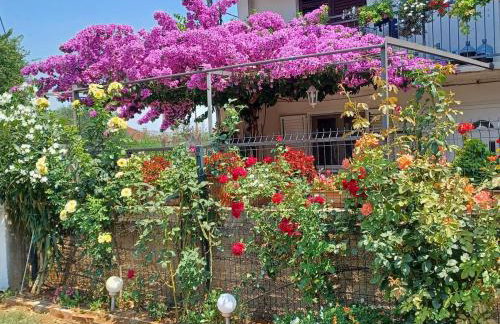 Country house Koštela - Photo 10