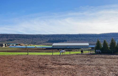 Mountain Sunrise Retreat - Foto 5