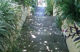 Apartments Petković - Foto 10