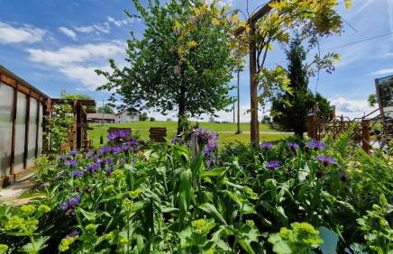 FeWo Familie Thoma - Foto 55