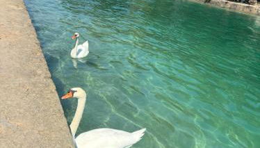 La maison du bonheur à Talloires - Photo 3