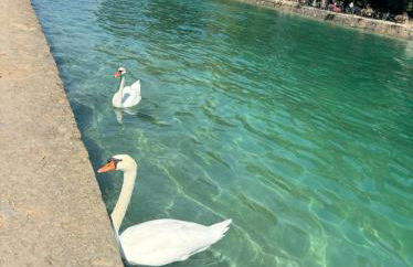 La maison du bonheur à Talloires - Photo 3