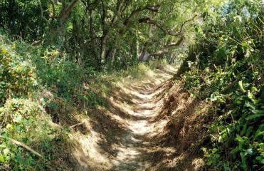 Seadom House - Foto 30