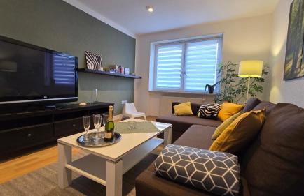 Wohnung Medicus, 3 ZKB, Balkon, Garten, nähe Stadtpark, ruhig - Foto 2