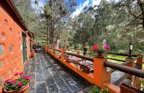 Casa Rural en medio del bosque, El Lance - Foto 2