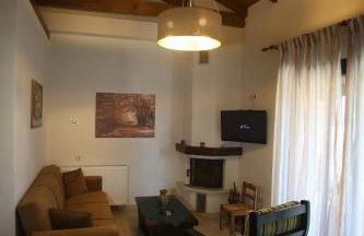 Boletus MushROOM - Foto 8