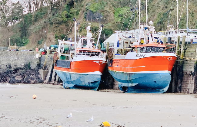 Holly Hayes House - Photo 51