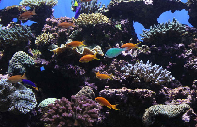 Go City: San Diego Explorer Pass - Foto 4