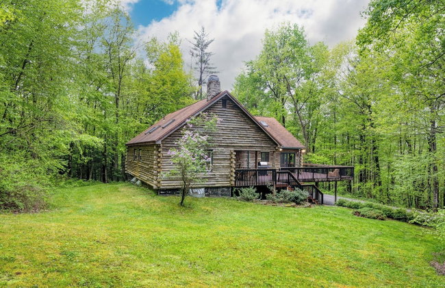 Secluded Forest Sanctuary Outdoor Living, Yard, Views Half Moon by Avantstay - Foto 71