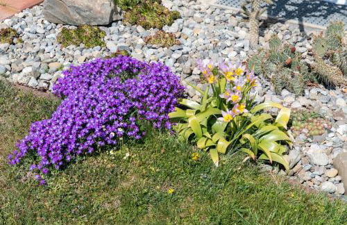 Ferienhaus Behler - Foto 8