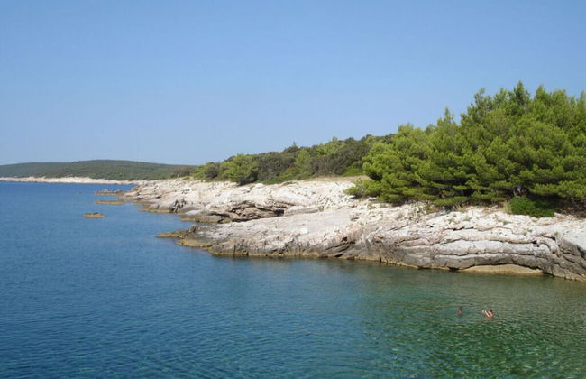 Villa Albina Comfortable Holiday Residence - Foto 22