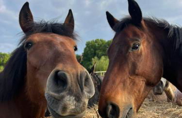 Bus insolite - Foto 14