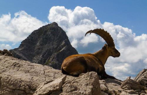 Ferienwohnungen im Färberhaus - Foto 33