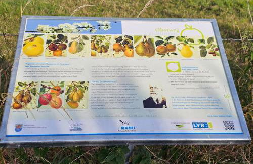 Gartenglück, entspannt wohnen am Obstwanderweg - Foto 51