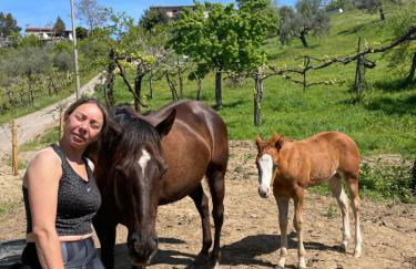 Luxury Country Villa Daniele - Foto 54