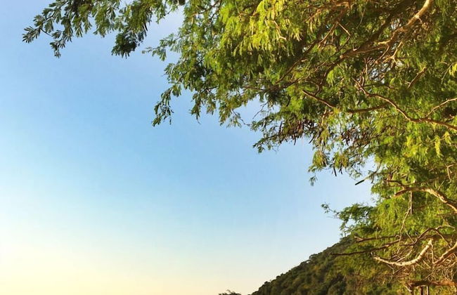 Casa Karibu at Santa Maria Machangulo Mozambique - Photo 34