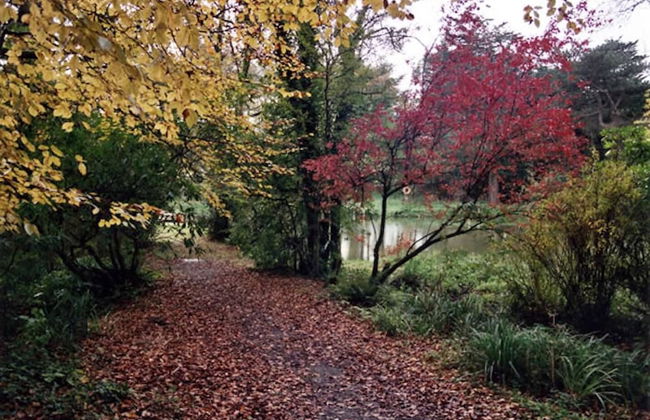 Lakeview Cottage - Foto 22