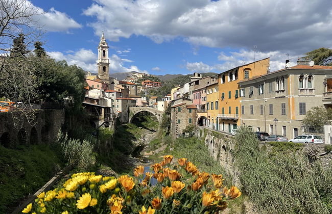 Bellissimi (DOL280) - Foto 53