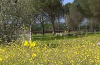 El Pinar del Rondero J&M En Plena Naturaleza - Photo 26