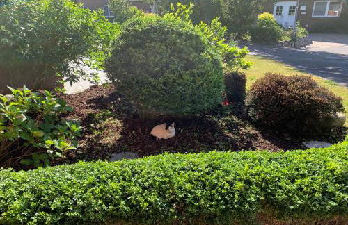 Ferienhaus Auszeit - Foto 11