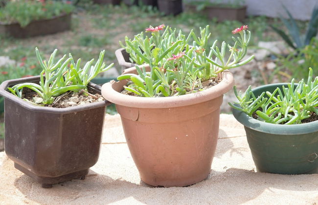 Apartments Tereza - Foto 79