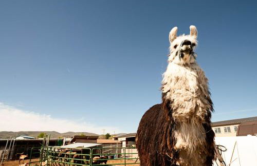Game Room and Hot Tub Salt Lake City Area Apt - Photo 32