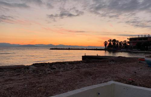 HADARIK by the sea - Foto 17