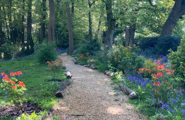 Countryside retreat set within beautiful woodlands with easy access to Henley On Thames - Foto 14