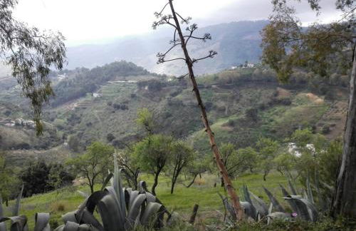 Cabaña La Pura Vida Yunquera - Foto 15