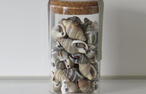 Ferienwohnungen Familie Schwarze - Foto 66