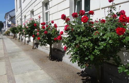 Appartement Meeresrauschen - Foto 37