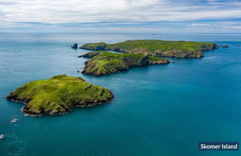 Cwtch Cottage - Foto 22