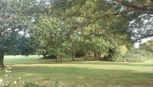 A vroom with a view! - Foto 4