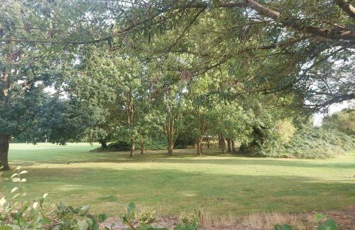 A vroom with a view! - Foto 4