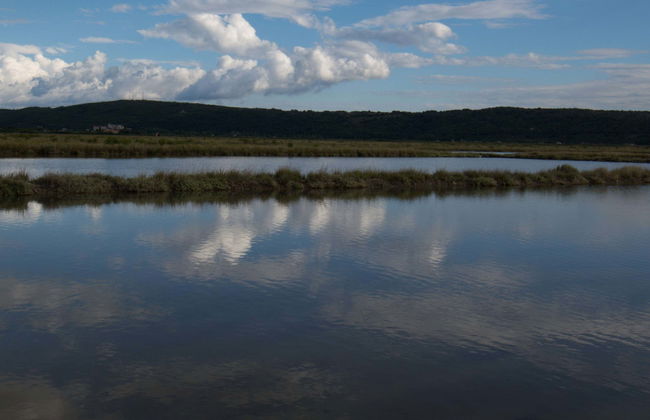 Dragonja Valley Hiking Tour - Foto 1