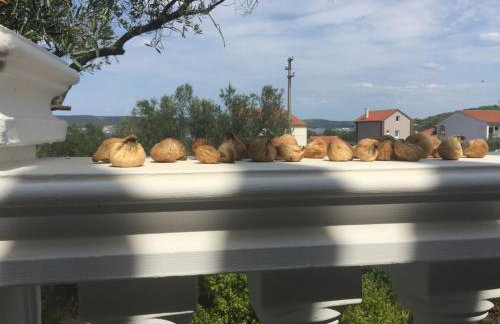 Villa Bonaca - Photo 6