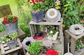 Landhaus Anneliese - Photo 17